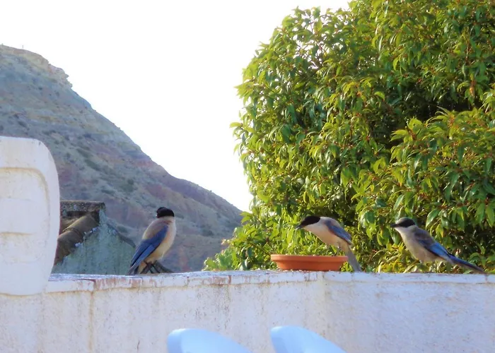 וילה Bay W Private Pool *